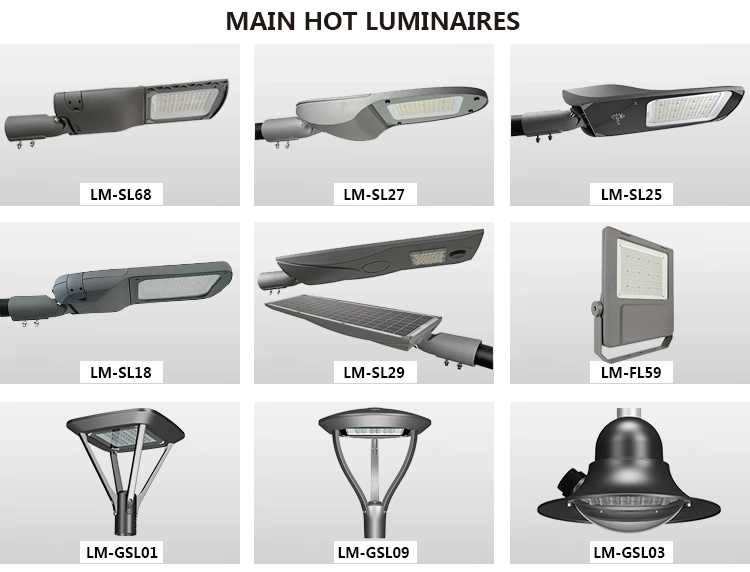 20W-120W Die Casting Aluminum IP66 Waterproof ENEC+ SAA RoHS Certificates LED Garden Park Light Manufaturer