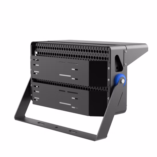 Iluminación de peonías 500W